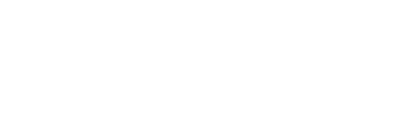 Foton